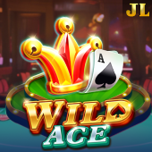 Wild Ace nustar apk hot slot